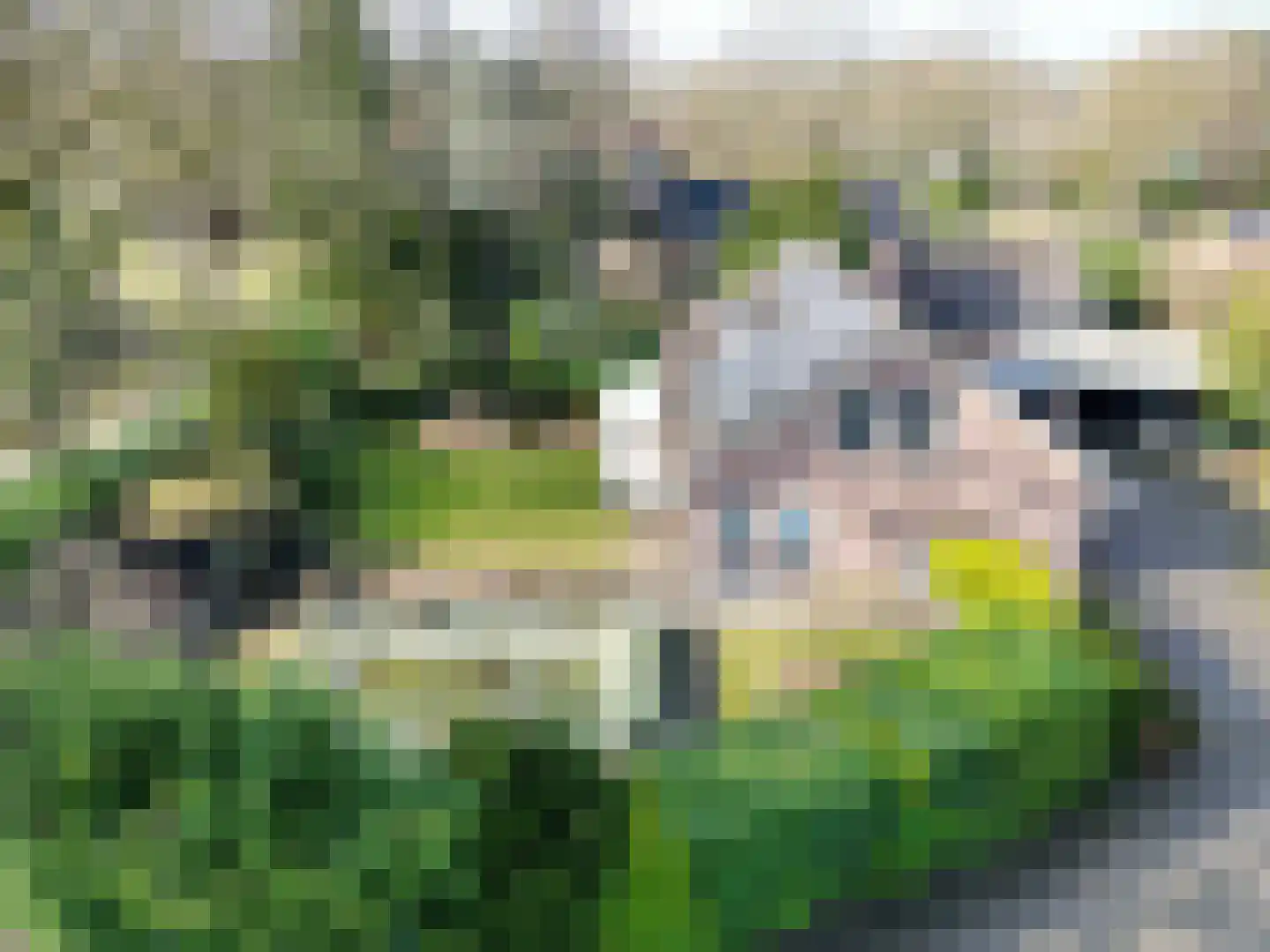 Asserbrink 9 Emmen thumbnail 74
