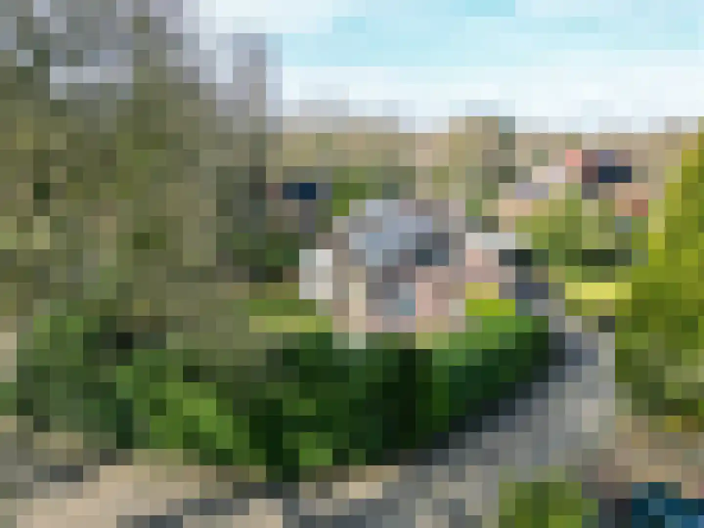 Asserbrink 9 Emmen thumbnail 75