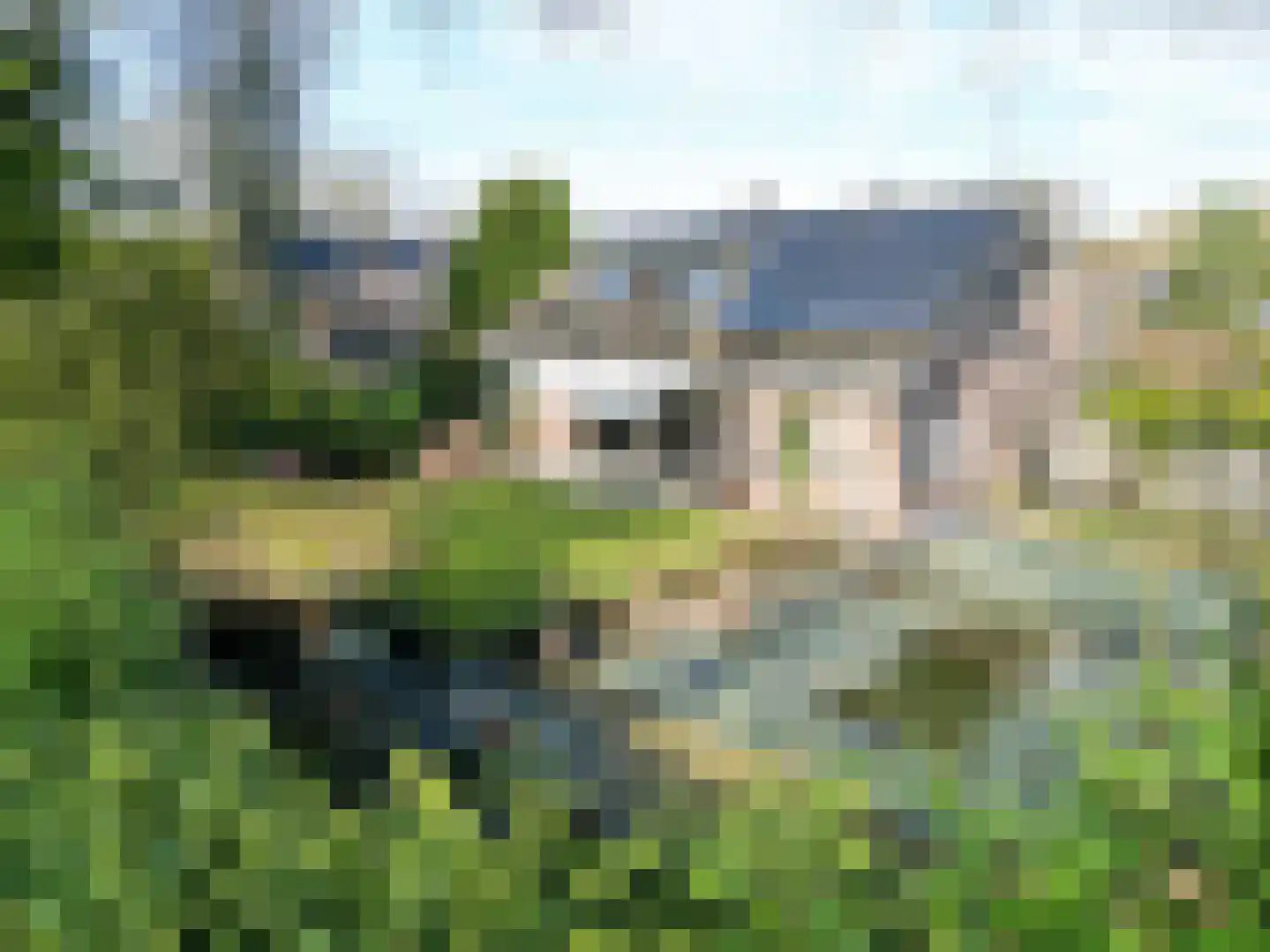 Asserbrink 9 Emmen thumbnail 76