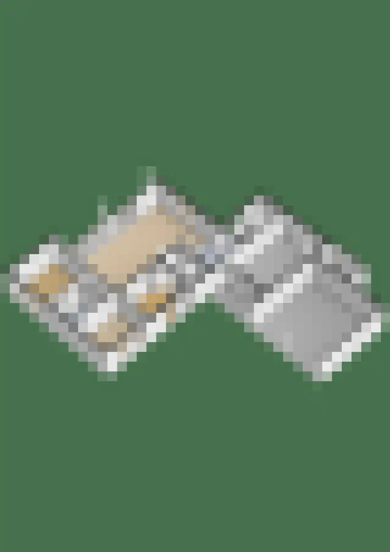 Asserbrink 9 Emmen thumbnail 79