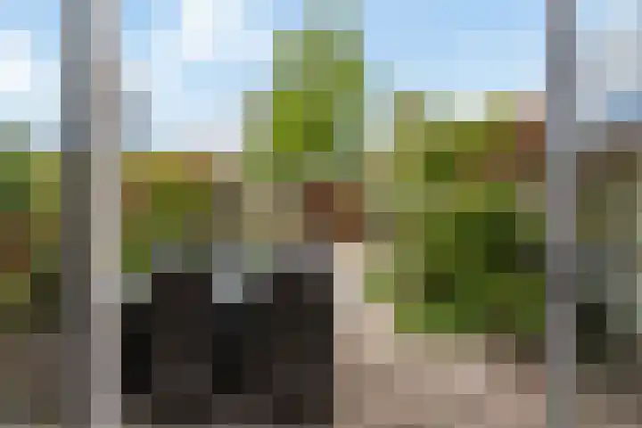 Asserdreef 25 Maassluis thumbnail 21