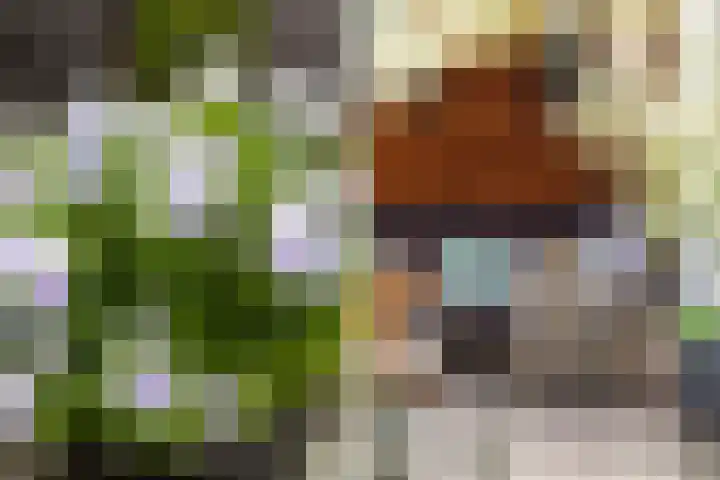 Asserdreef 25 Maassluis thumbnail 25