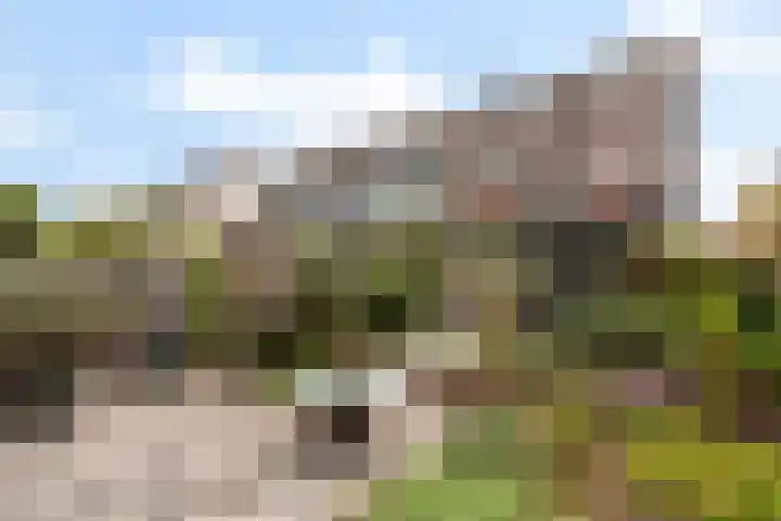 Asserdreef 25 Maassluis thumbnail 26