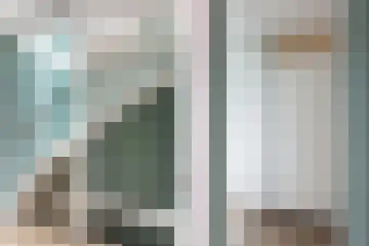 Asserdreef 25 Maassluis thumbnail 28