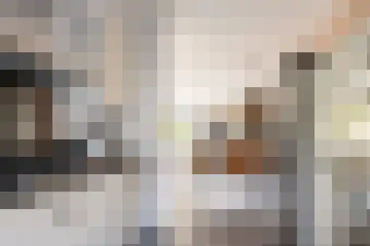 Asserdreef 44 Maassluis thumbnail 11