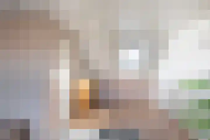 Asserdreef 44 Maassluis thumbnail 31