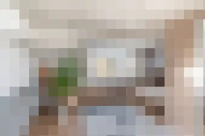 Asserdreef 44 Maassluis thumbnail 33