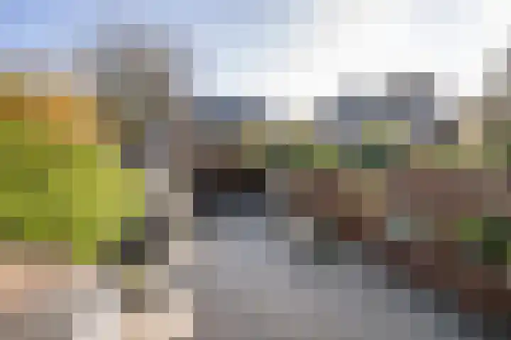 Asserdreef 44 Maassluis thumbnail 35