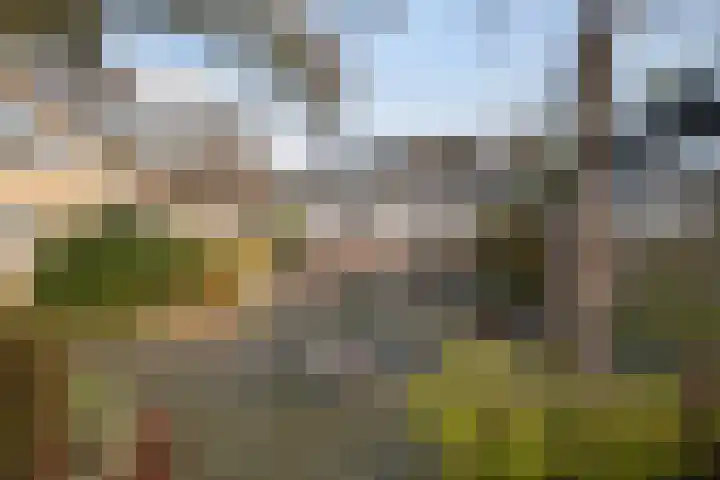 Asserdreef 44 Maassluis thumbnail 38