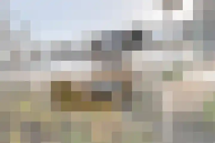Asserdreef 44 Maassluis thumbnail 5