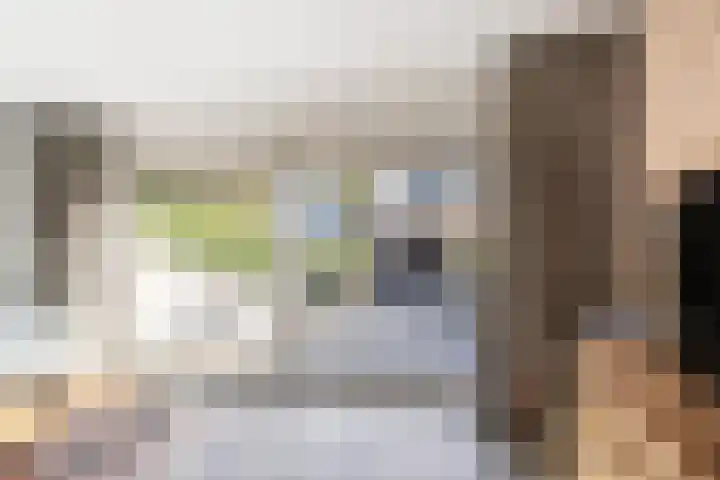 Asserdreef 44 Maassluis thumbnail 9