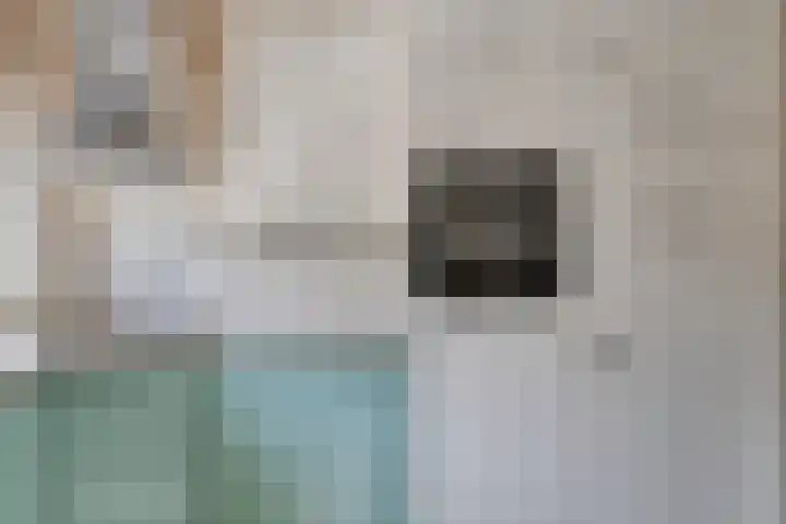 Asserdreef 51 Maassluis thumbnail 12
