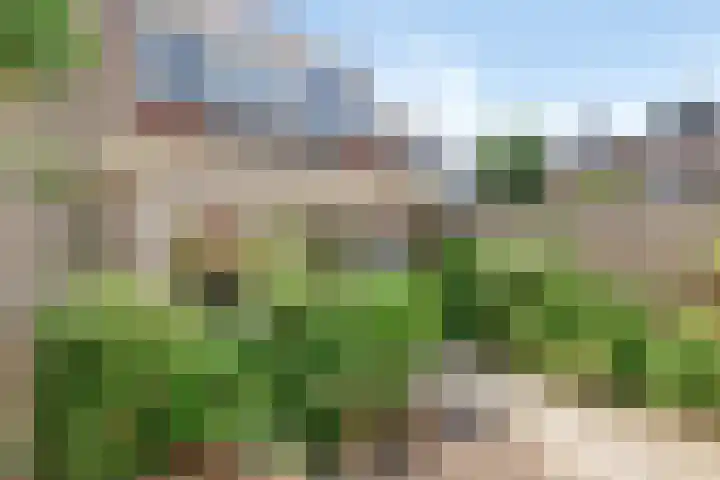 Asserdreef 51 Maassluis thumbnail 14
