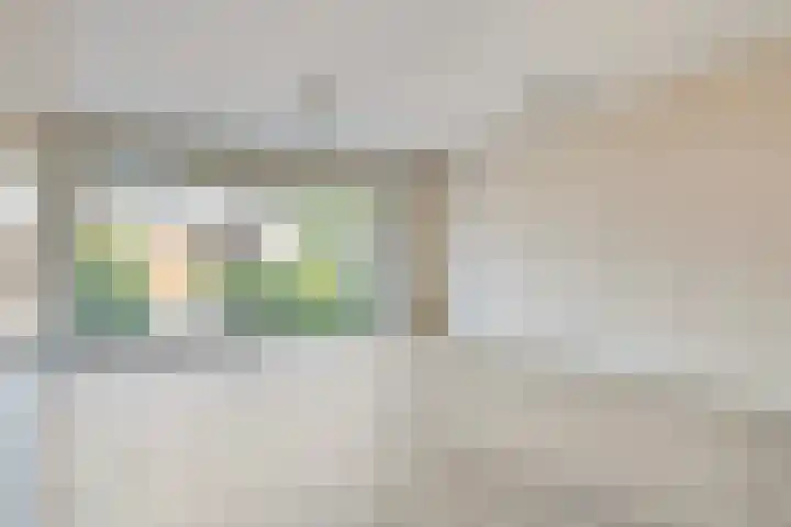 Asserdreef 51 Maassluis thumbnail 8