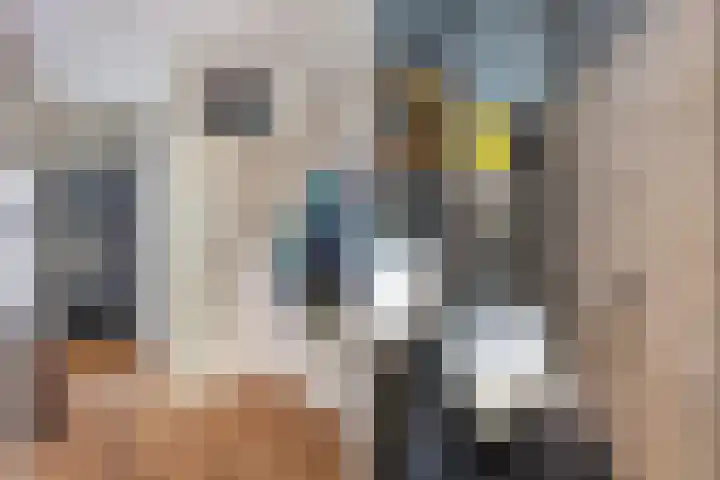 Asserdreef 62 Maassluis thumbnail 11