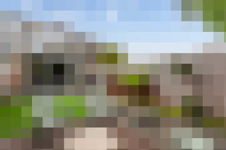 Asserdreef 62 Maassluis thumbnail 29
