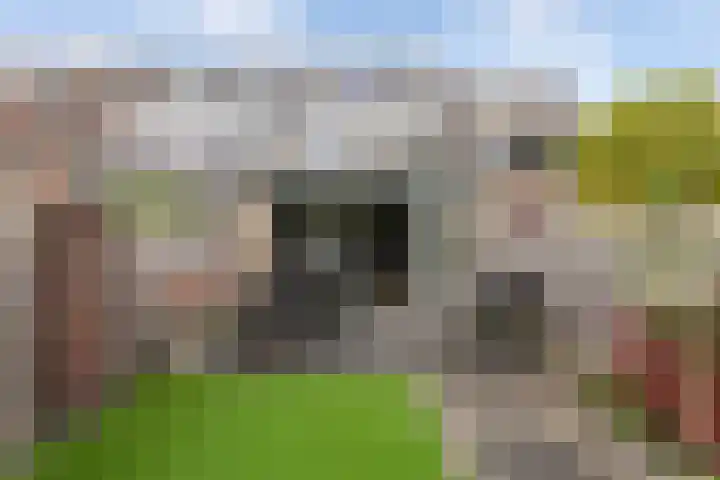 Asserdreef 62 Maassluis thumbnail 30