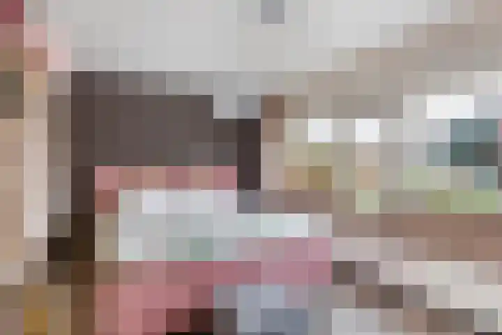 Asserdreef 62 Maassluis thumbnail 33