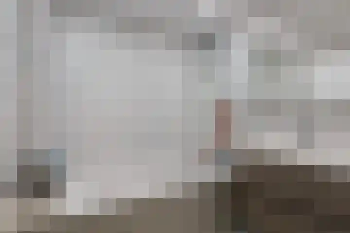 Asserdreef 62 Maassluis thumbnail 38