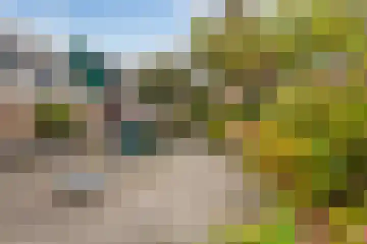 Asserdreef 62 Maassluis thumbnail 46
