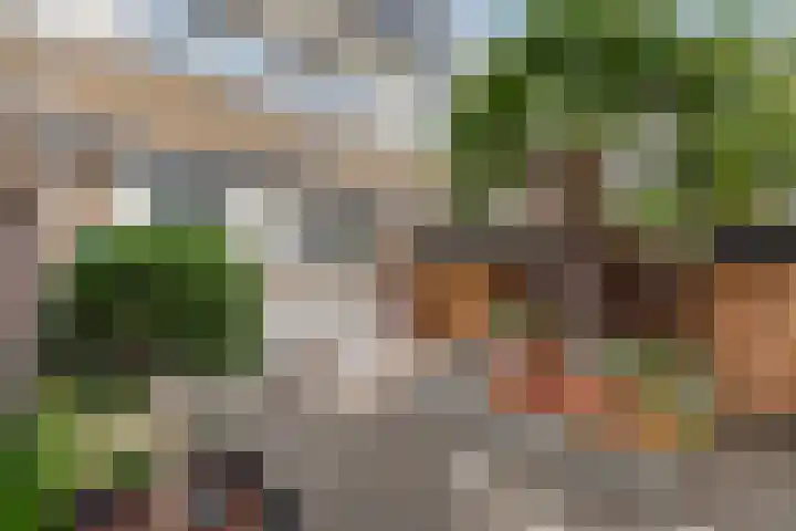 Asserdreef 62 Maassluis thumbnail 6