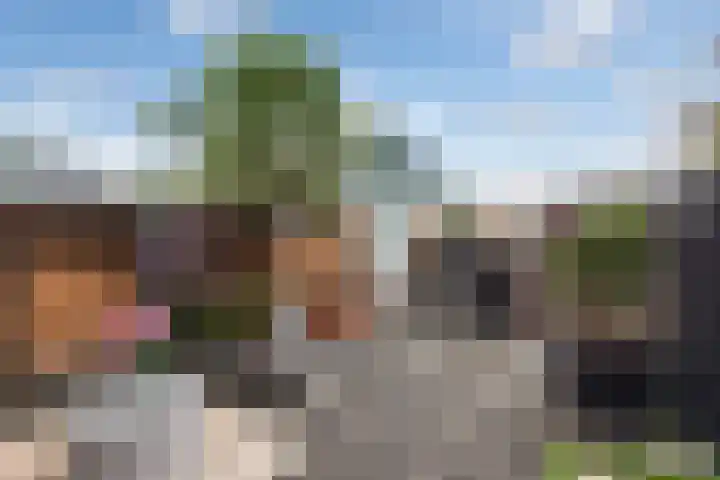 Asserdreef 62 Maassluis thumbnail 8