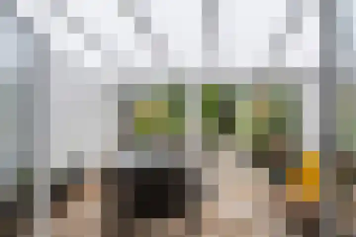 Asserdreef 66 Maassluis thumbnail 11