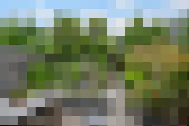 Asserdreef 66 Maassluis thumbnail 15