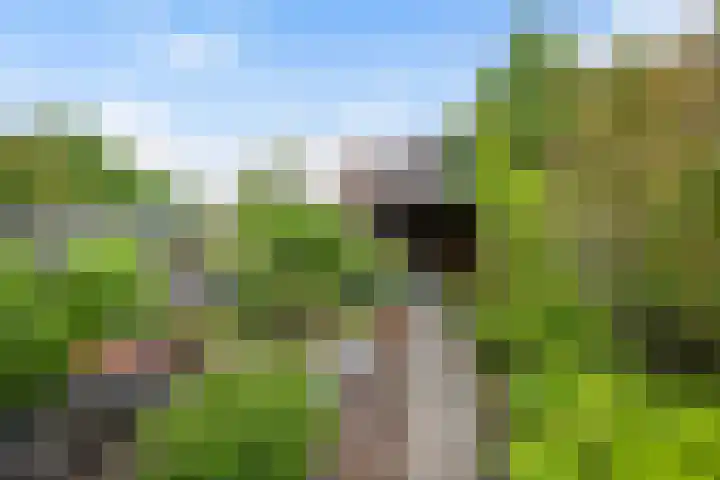 Asserdreef 66 Maassluis thumbnail 16