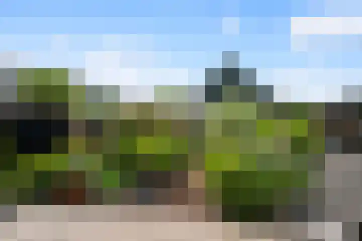 Asserdreef 66 Maassluis thumbnail 6