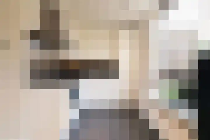Asserhof 13 Nijkerk thumbnail 18