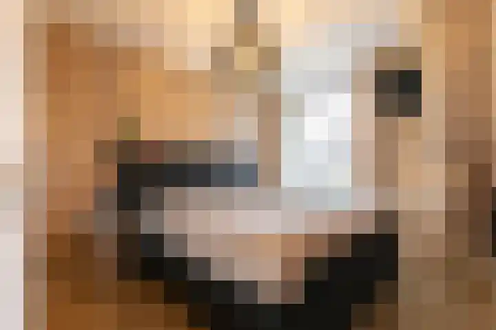 Asserhof 13 Nijkerk thumbnail 23