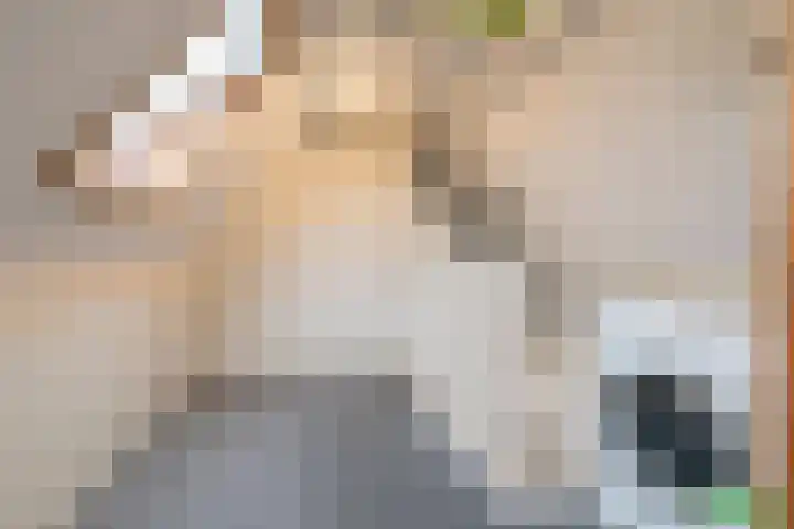Asserhof 13 Nijkerk thumbnail 33