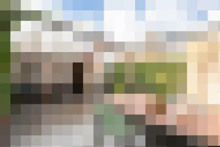 Asserhof 13 Nijkerk thumbnail 36