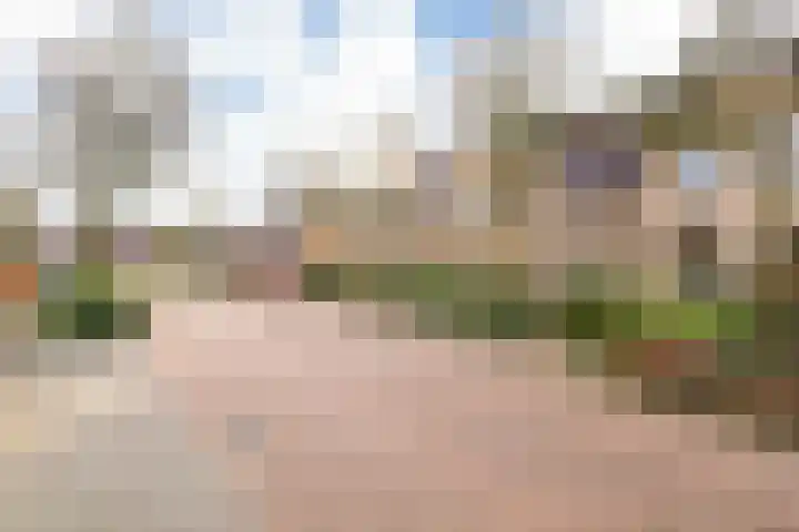 Asserhof 13 Nijkerk thumbnail 41