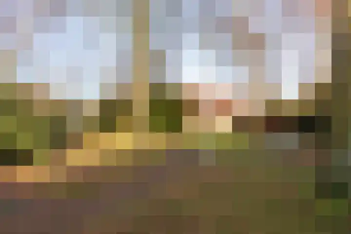 Asserhof 13 Nijkerk thumbnail 43