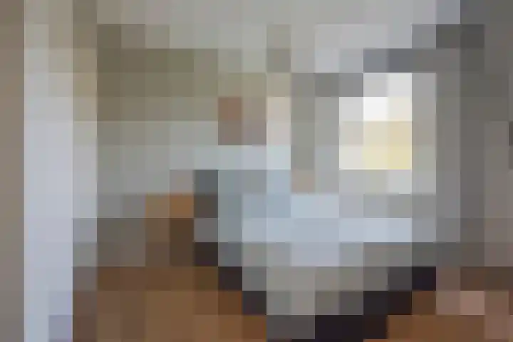 Asserhof 14 Nijkerk thumbnail 15