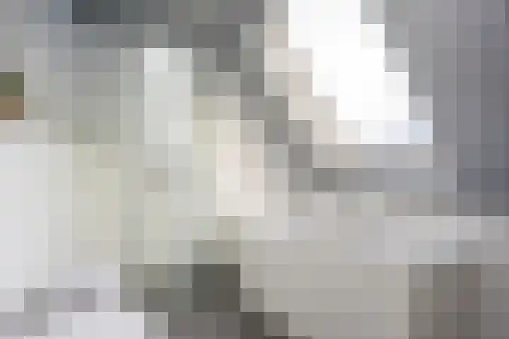 Asserhof 14 Nijkerk thumbnail 21