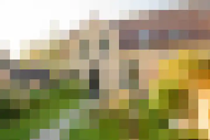 Asserhof 14 Nijkerk thumbnail 26