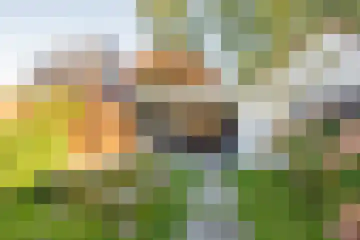 Asserhof 14 Nijkerk thumbnail 27