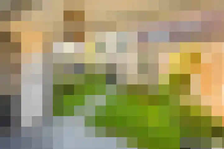 Asserhof 14 Nijkerk thumbnail 29