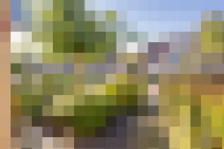 Asserhof 14 Nijkerk thumbnail 30
