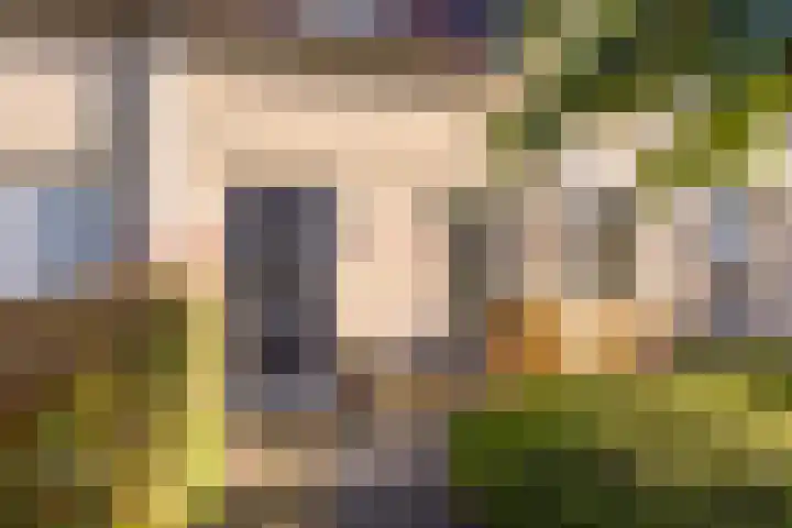 Asserhof 14 Nijkerk thumbnail 31