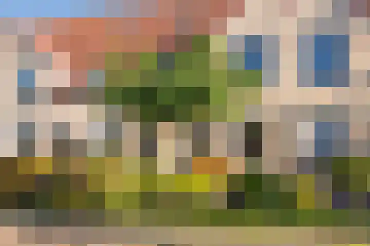 Asserhof 14 Nijkerk thumbnail 32
