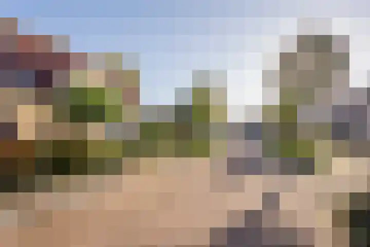 Asserhof 14 Nijkerk thumbnail 33
