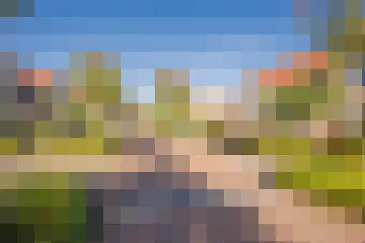 Asserhof 14 Nijkerk thumbnail 34