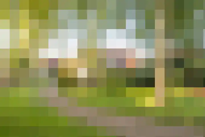 Asserhof 14 Nijkerk thumbnail 35