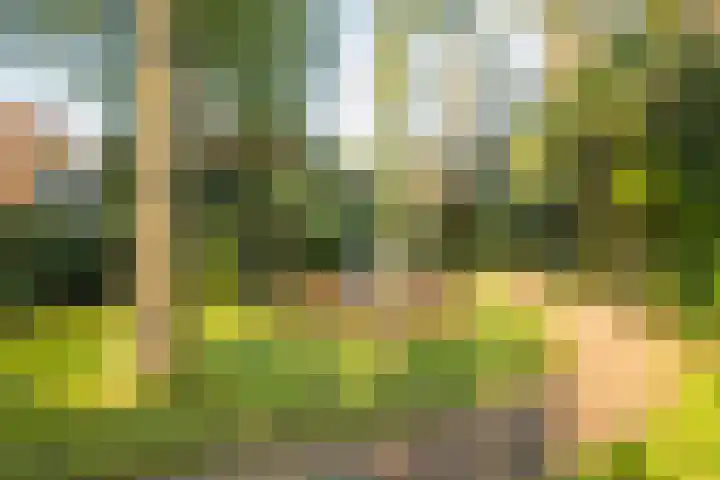 Asserhof 14 Nijkerk thumbnail 36