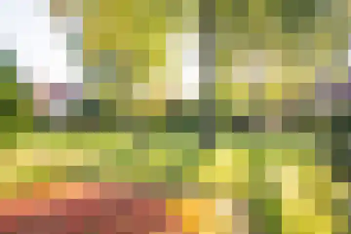 Asserhof 14 Nijkerk thumbnail 37