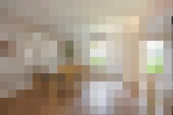 Asserhof 14 Nijkerk thumbnail 5